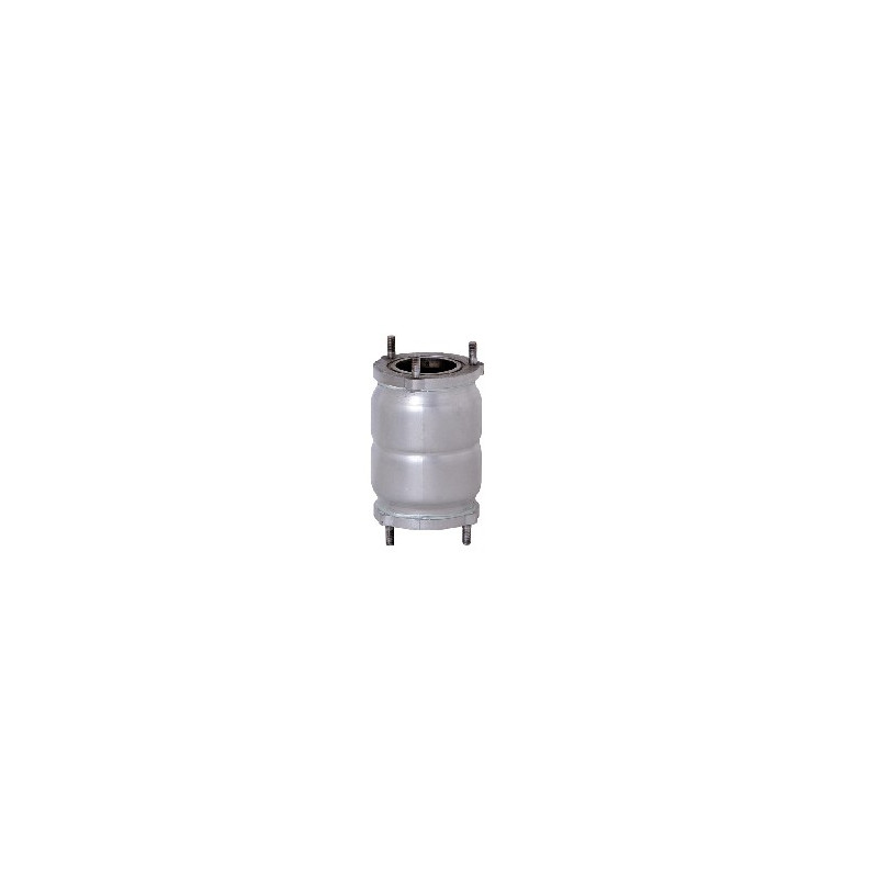 Katalysator (Closed Coupled)