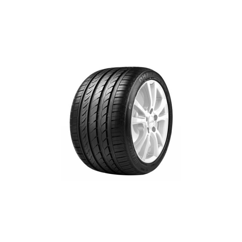 DELINTE DH2