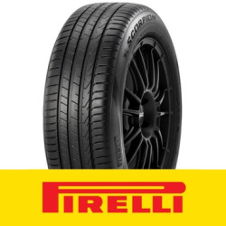 s2555019t