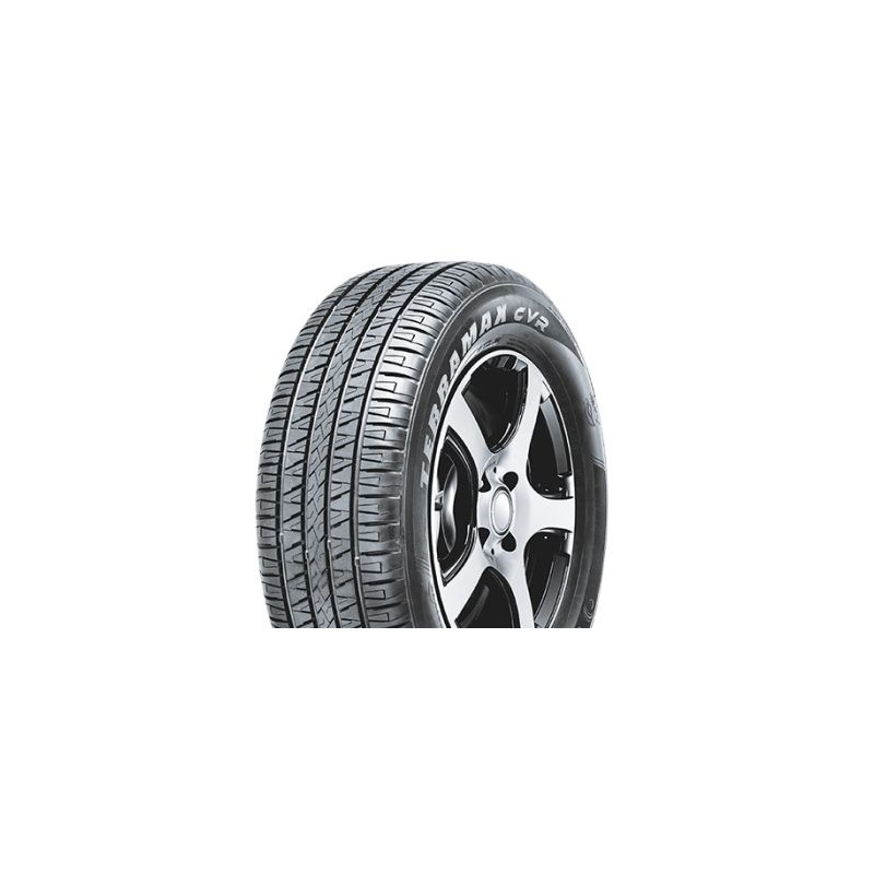 s2555019v