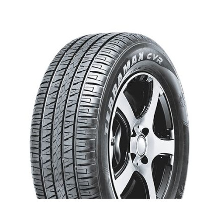 s2555019v