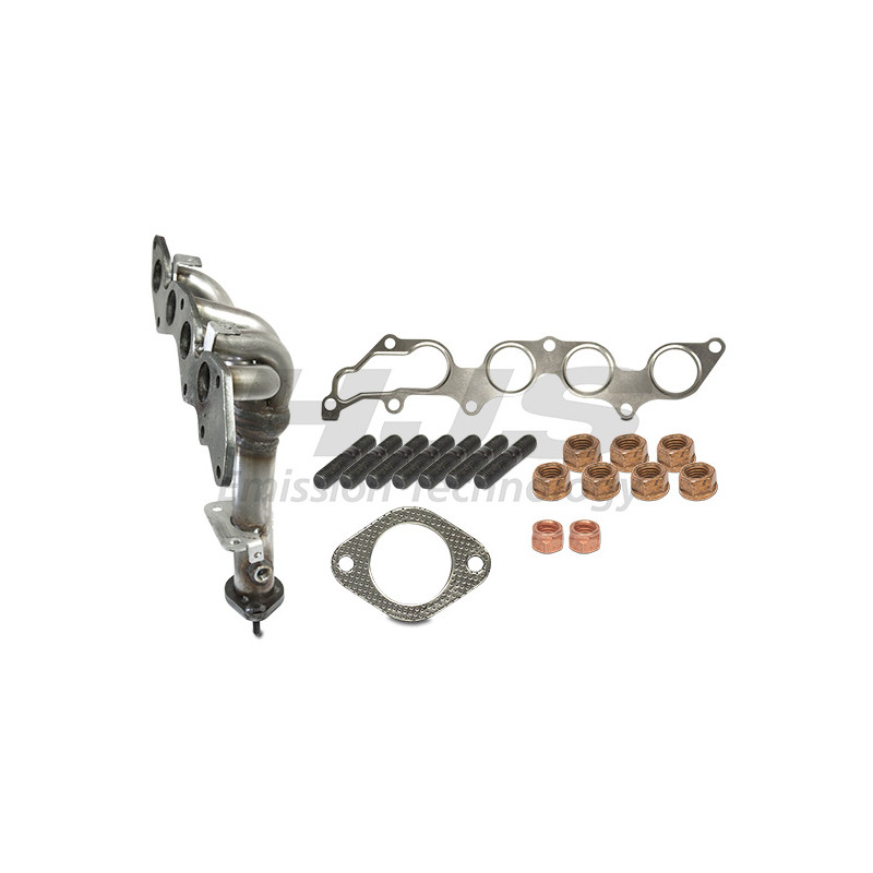 Manifold