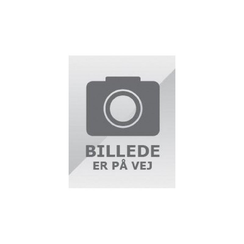 BRUGTE